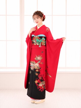 ランクA（無料）_振袖_101072