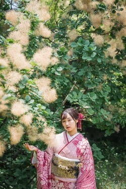 現代　振袖_振袖_99474 | キモノ山猫【西宮｜着物レンタル・販売・着付け】